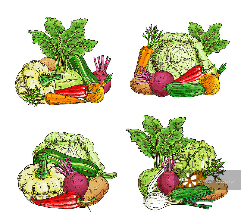 成熟蔬菜绿色食品素描banner图片素材