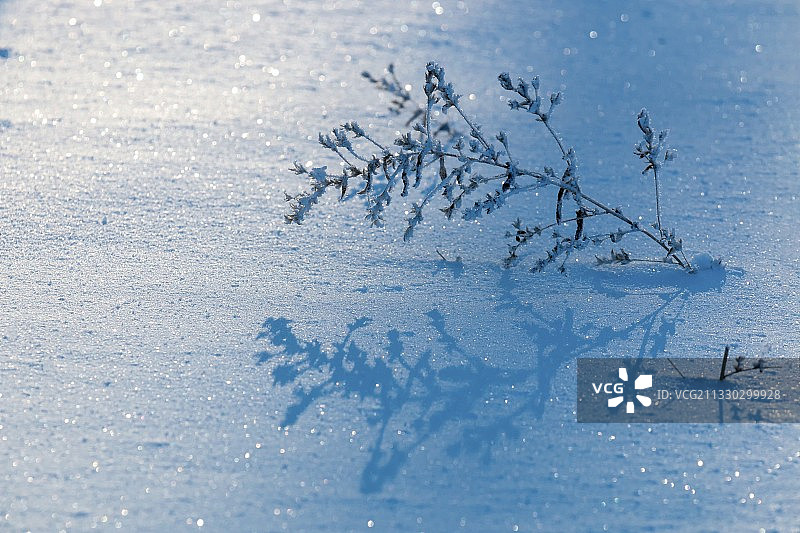 雪地小景图片素材