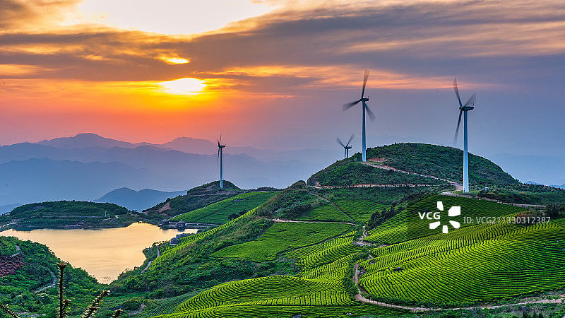 浙江东白山风景区东白山茶场风光图片素材