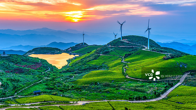 浙江东白山风景区东白山茶场风光图片素材