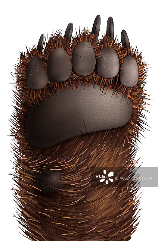 逼真的熊掌图片素材