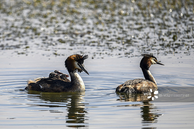 幸福一家亲图片素材
