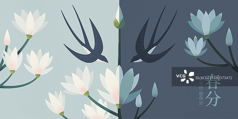 二十四节气春分 带文字横版图片素材