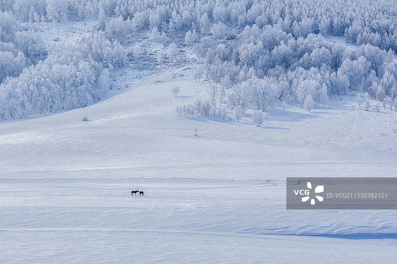 冬日恋曲图片素材