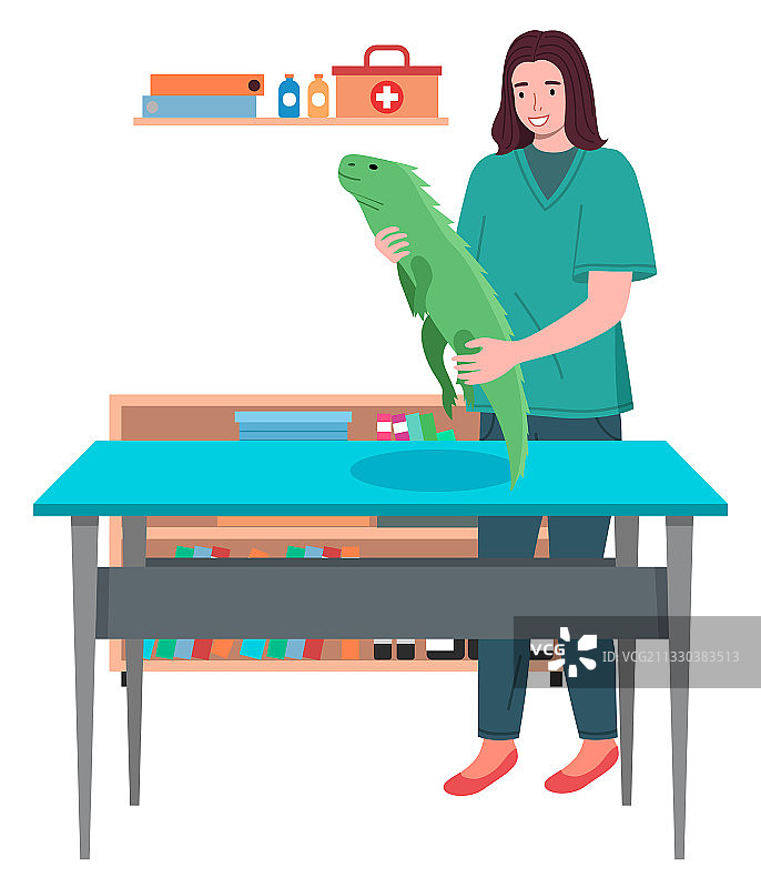 一位年轻女性与鬣蜥的兽医护理扁平插画图片素材