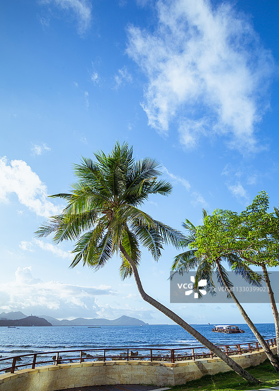 三亚大东海景区阳光沙滩椰子树海岸线日出时分图片素材