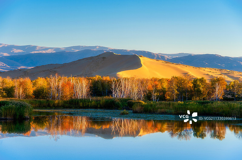 中国新疆白沙湖秋色风光图片素材