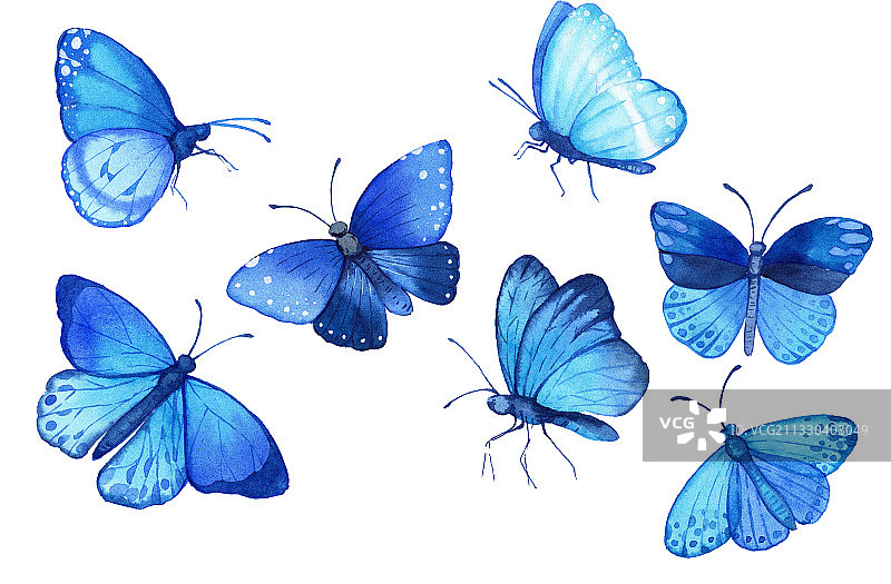 蓝色蝴蝶图片素材