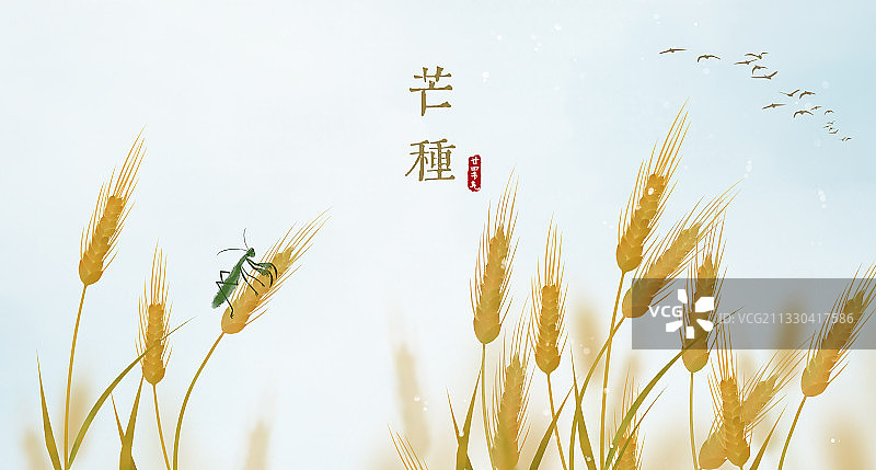 芒种中式横版二十四节气插画图片素材