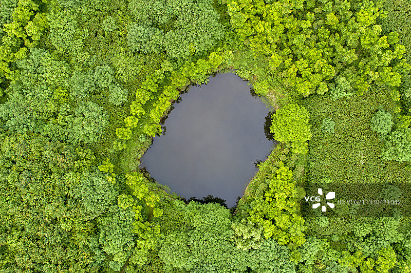 航拍鸟瞰丛林中的池塘图片素材