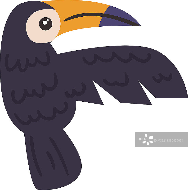 可爱的 toucan animal图片素材