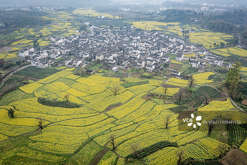 安徽省黄山市黟县卢村景区春季风光图片素材