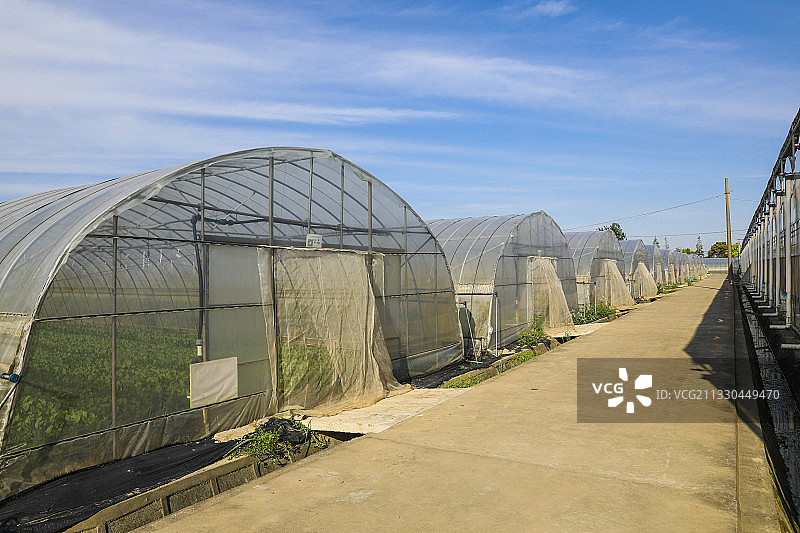 上海归原田居有机农庄的温室种植大棚外部图片素材