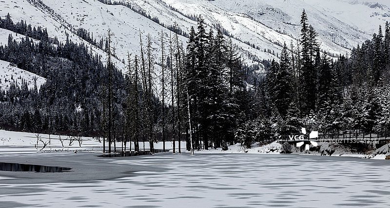 四姑娘山双桥沟图片素材