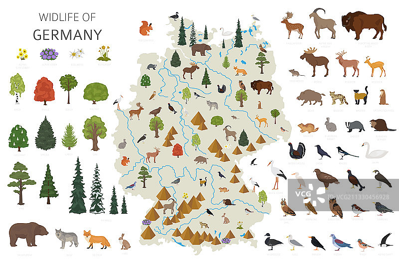 德国野生动植物鸟类扁平设计图片素材