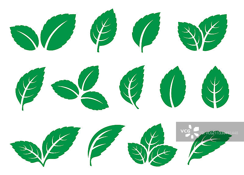 绿色树叶树枝薄荷图标合集图片素材