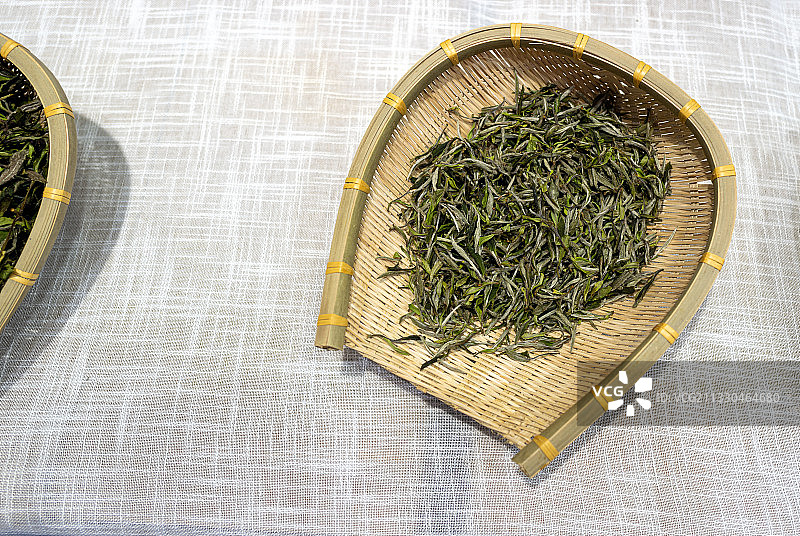 福鼎白茶图片素材