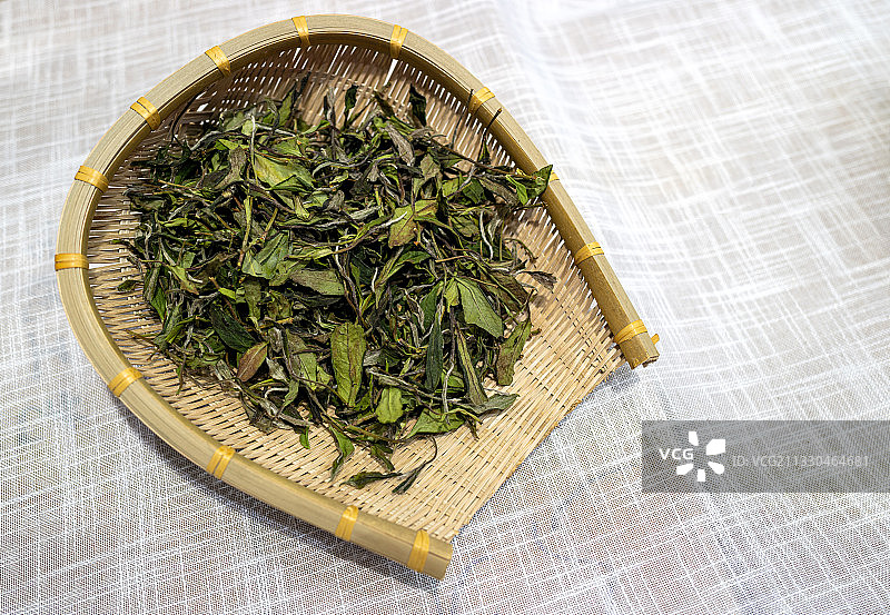 福鼎白茶图片素材