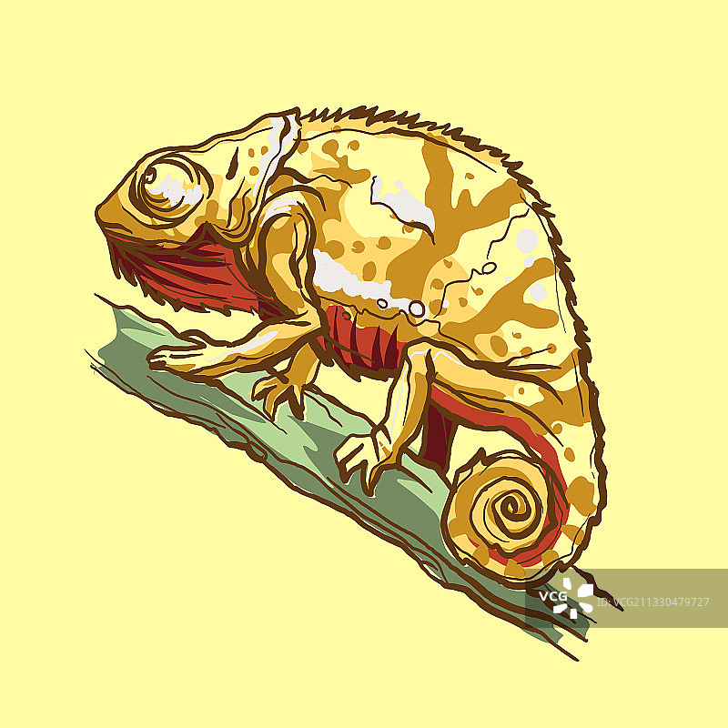 自然环境中的黄色变色龙蜥蜴图片素材