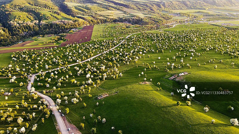 新源萨哈野苹果林航拍风景图图片素材