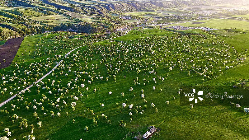 新源萨哈野苹果林航拍风景图图片素材