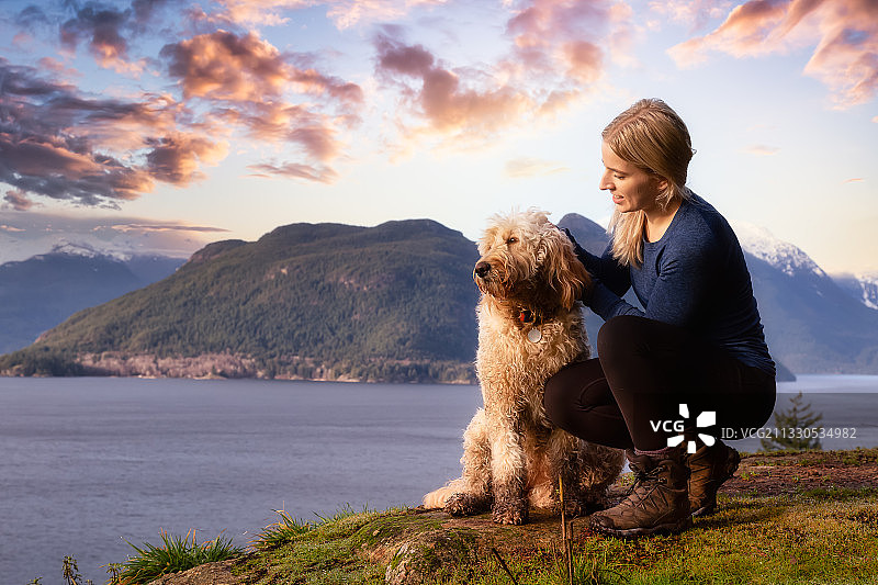女人在海滩上和贵宾犬玩耍图片素材