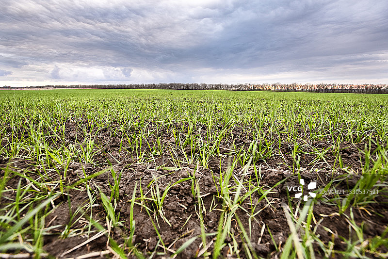 天空映衬下的农田风景图片素材