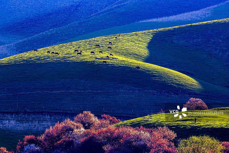 杏花沟的春天图片素材
