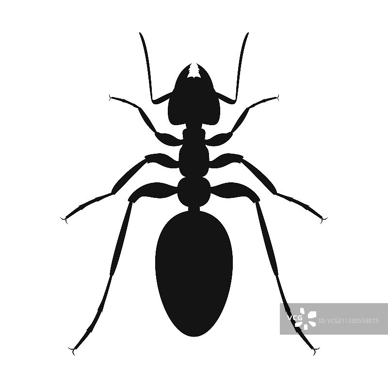 扁平设计黑色蚂蚁图标Logo图片素材