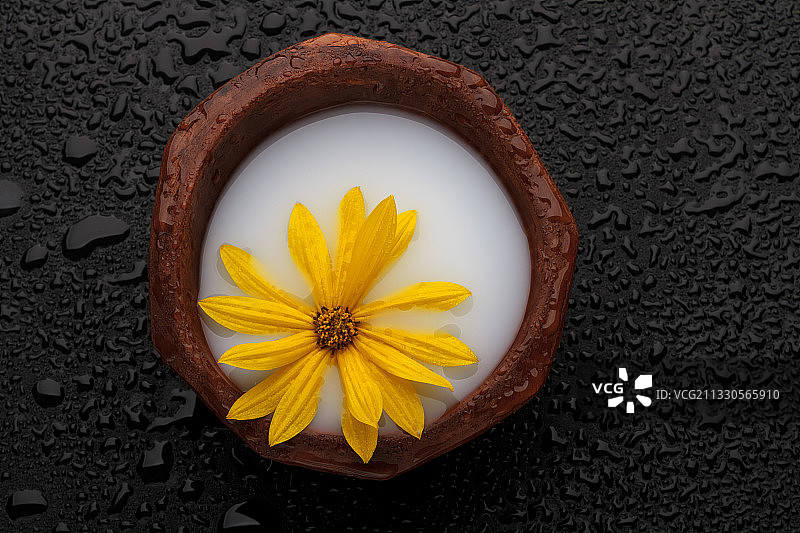 俯视拍摄的碗中黄色花朵图片素材