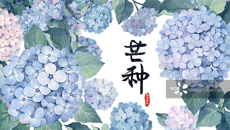 芒种节气插画图片素材