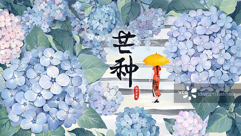 芒种节气插画图片素材