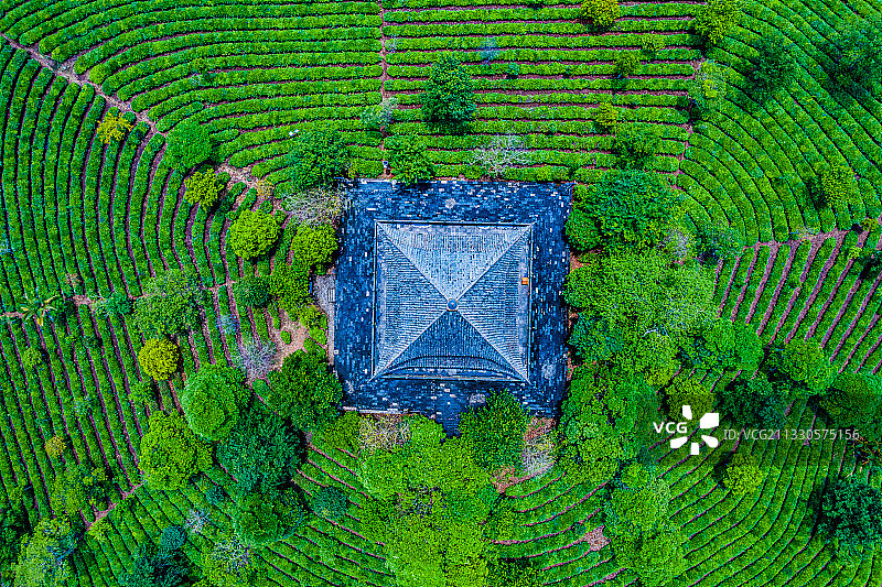 云南普洱茶山春季航拍图片素材
