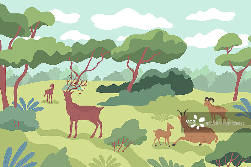 森林野生动物构成图片素材