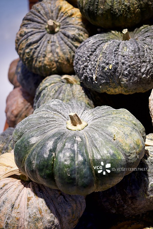 桌子上南瓜的特写图片素材