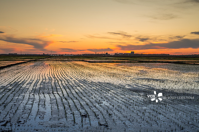 稻田，农业，田园风光，插秧图片素材