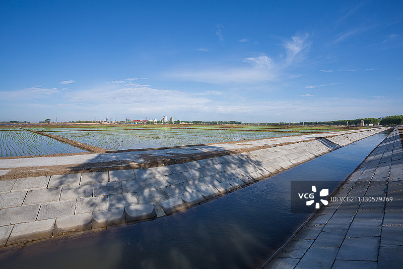 稻田，农业，田园风光，插秧图片素材