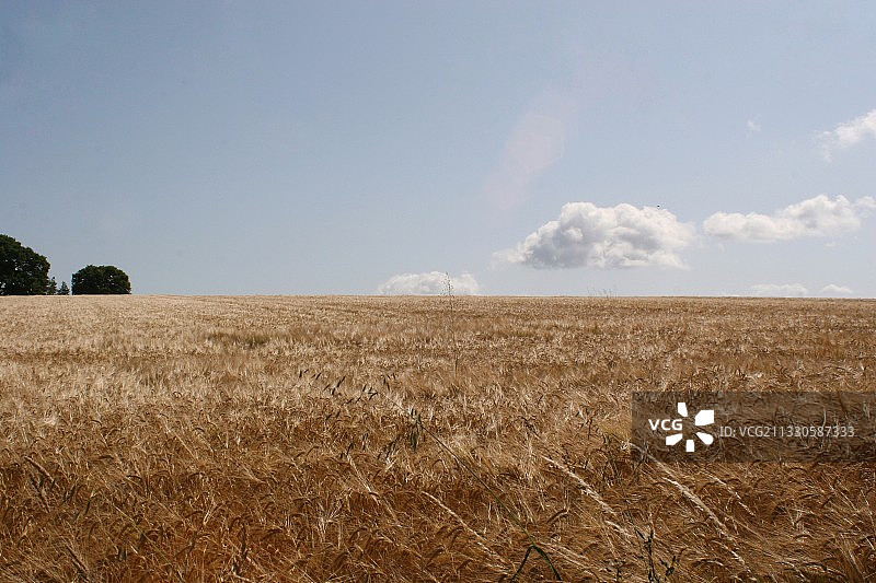 英国布罗姆亚德的田野风光图片素材