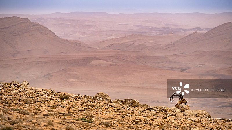以色列米茨佩拉蒙天空沙漠景色图片素材