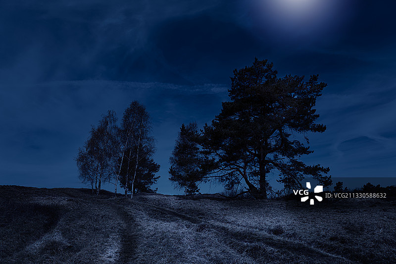 夜晚田野天空下的树木剪影图片素材