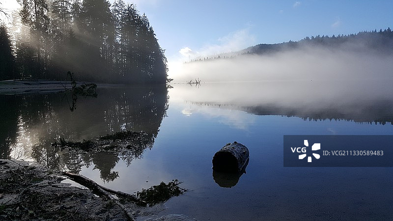 加拿大小白松海滩湖泊风光图片素材
