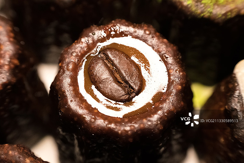 巧克力特写图片素材