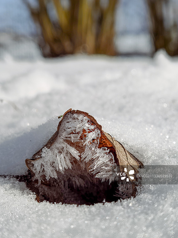 雪覆盖田野的特写图片素材