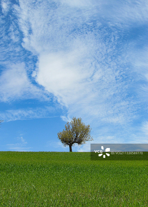 伊朗胡齐斯坦省伊泽赫的田野风光图片素材