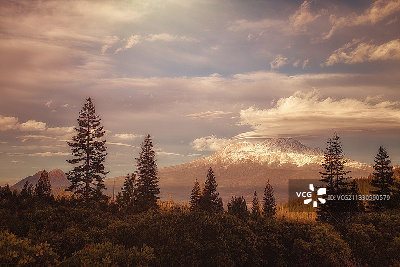 日落时分加利福尼亚州沙斯塔山的森林树木图片素材