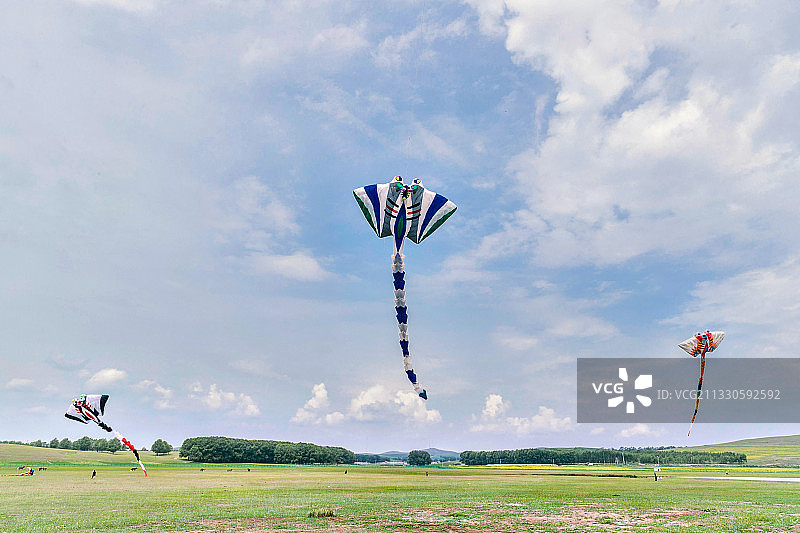 在坝上草原举行的国际风筝大型赛事图片素材