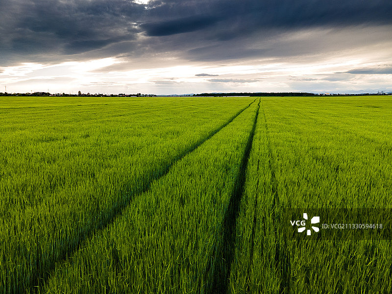 天空映衬下的农田风景图片素材
