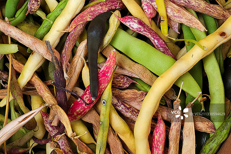 蔬菜全景特写图片素材