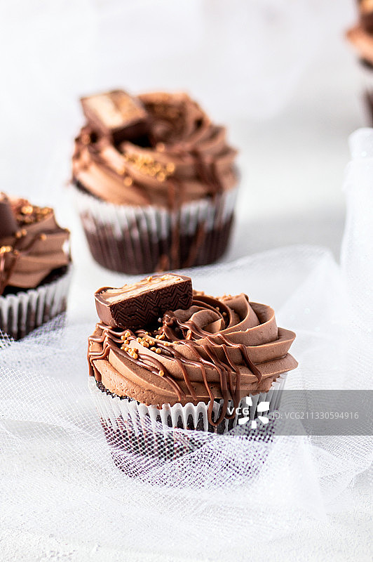 拉脱维亚桌子上的巧克力纸杯蛋糕特写图片素材