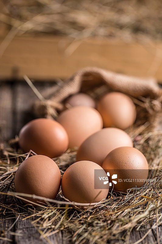 鸟巢里的鸡蛋特写图片素材
